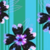Dark Bloom